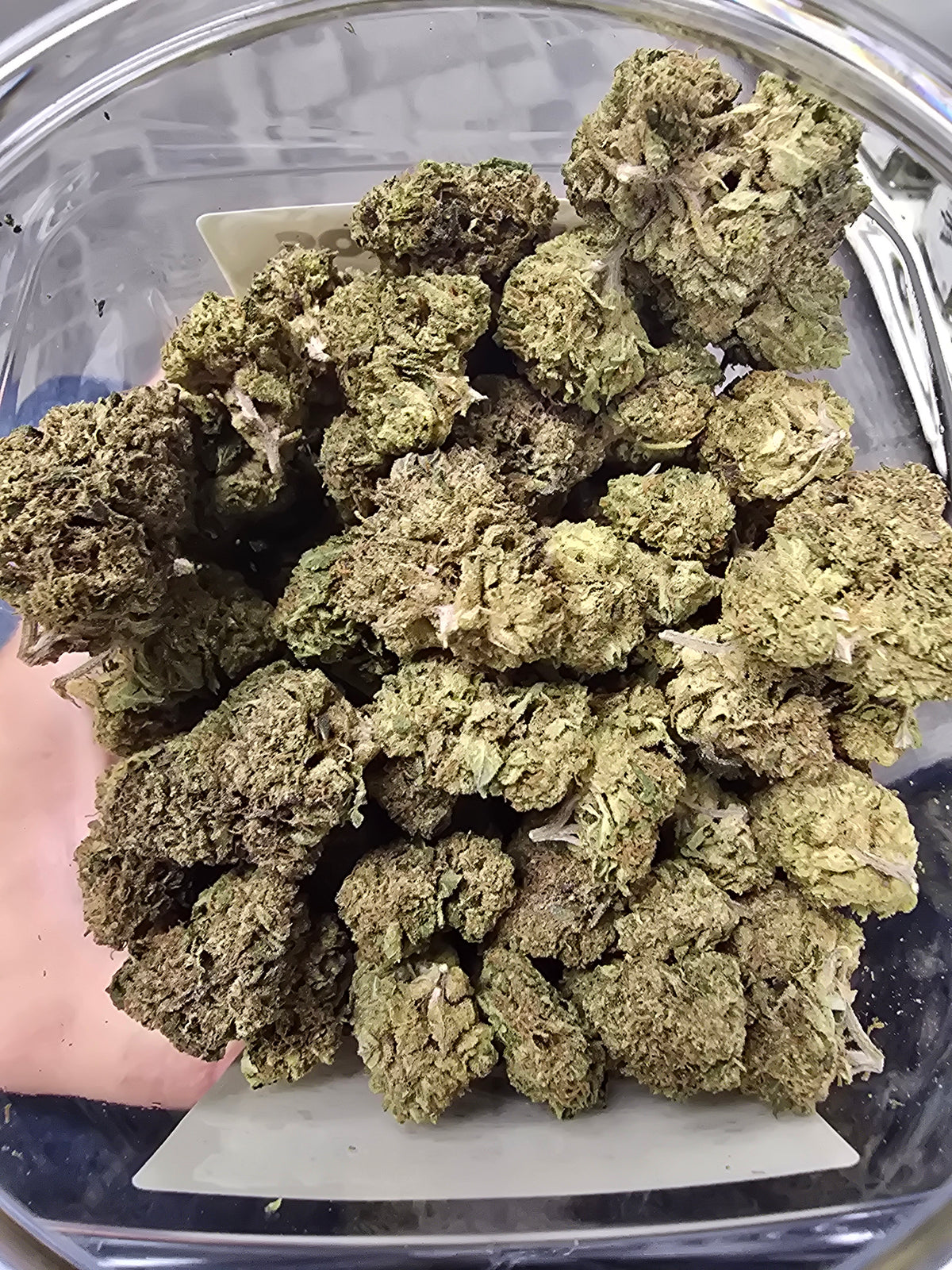 DOPE PROS PREMIUM QP FLOWER